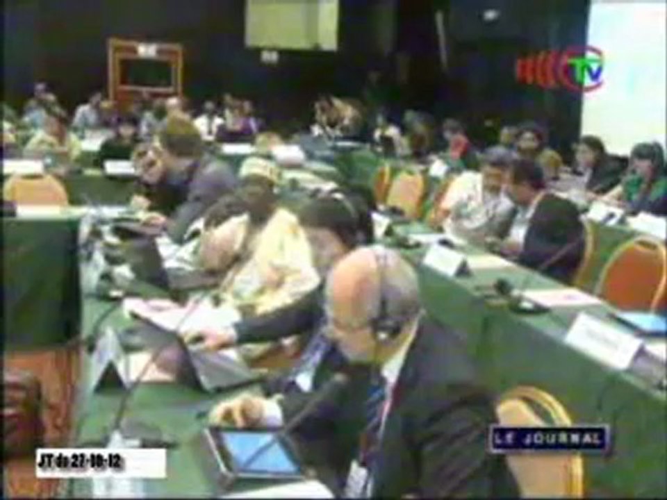 L’ONU-REDD accorde 2 milliards de FCFA au Congo pour soutenir son processus REDD+