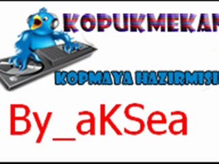 DJ By_aKSea  Timbaland Dİnle İnDir İzle Seslimesli.com Seslimesli Sesli Mesli