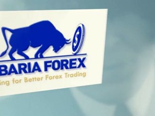 מודלים משובחים למסחר בשוק ההון והמטח | צפו בודיאו