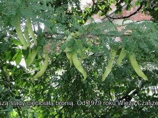 Wieża Czaszek NISZ SERBIA lipiec 2012r.