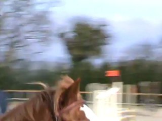 1er concours arradon 2010