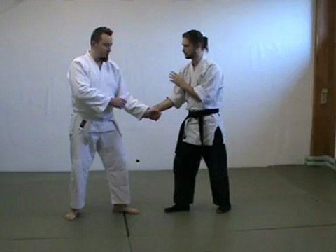 Gyaku hanmi katate dori : ikkyo omote kihon