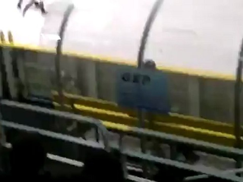 zinzins de l'espace, trotro, mickey mouse, oggy et les cafard,s, belly dancer