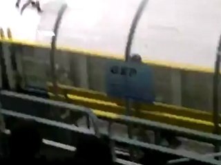 zinzins de l'espace, trotro, mickey mouse, oggy et les cafard,s, belly dancer