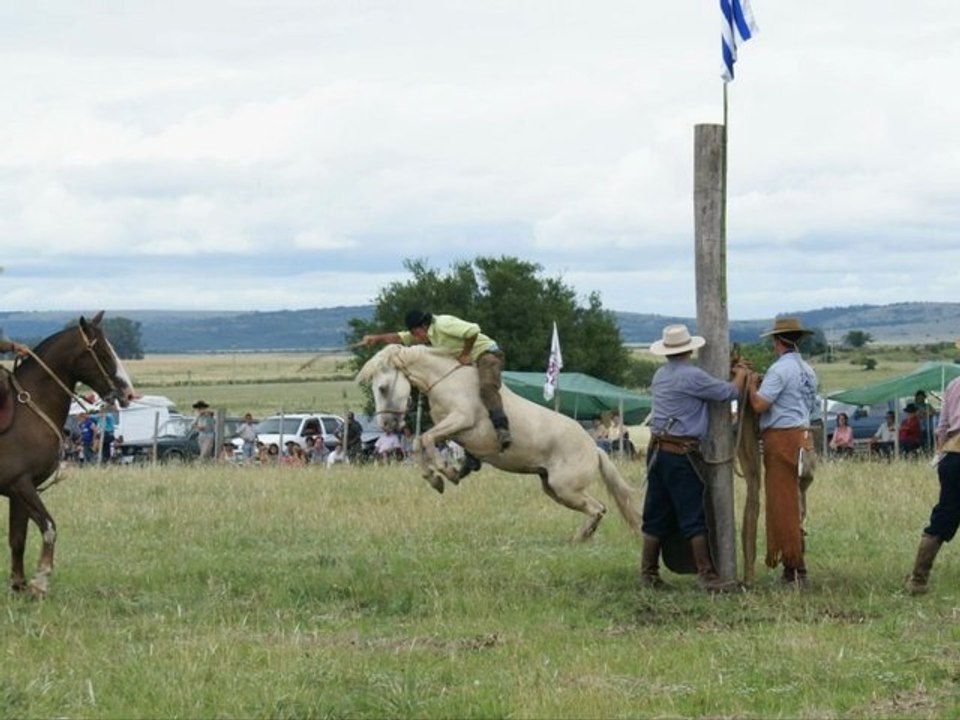 COLON LAVALLEJA URUGUAY DOMAS 2009