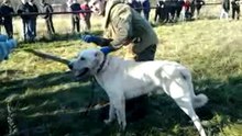 Видео0001