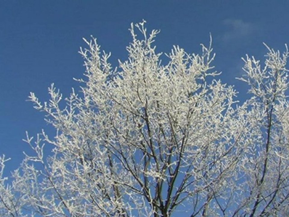 Vanessa Mae - Antonio Vivaldi - 'Winter'