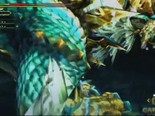 Monster Hunter 3 Ultimate Wii U - 30 minutes de gameplay