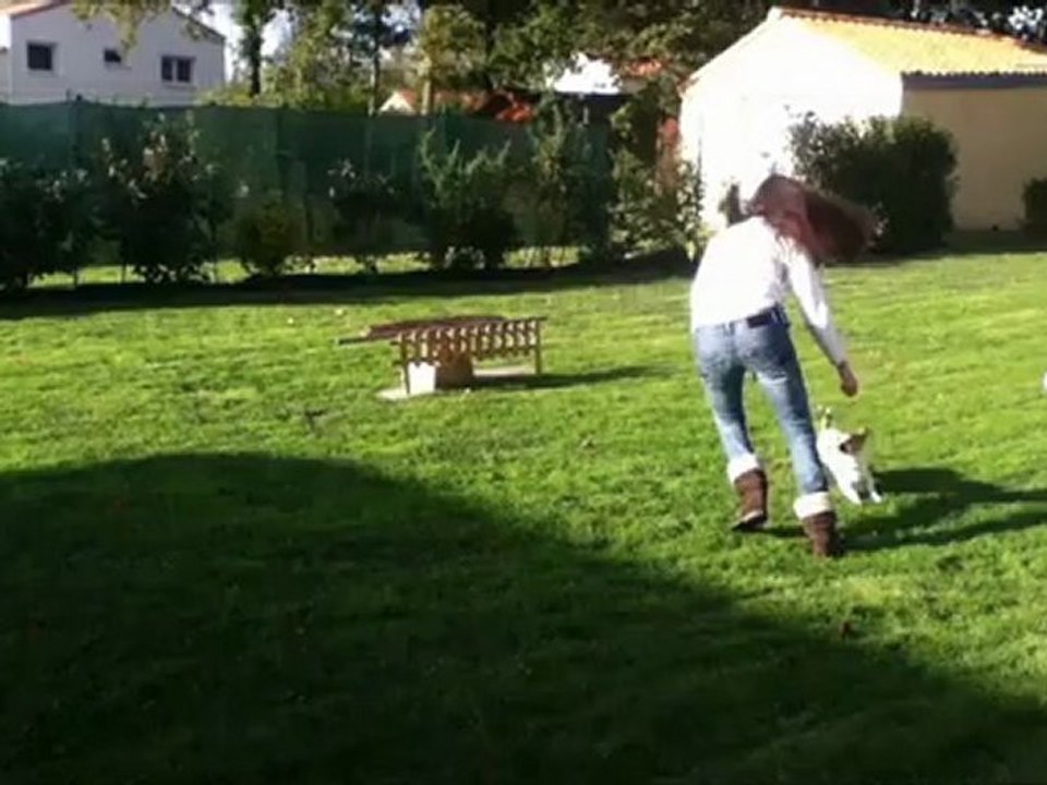 Agility Hilton le 28/10/2012