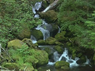 Janhett Windglows: Hands (For Eric)