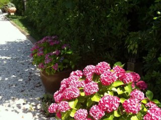 Marche casolare ristrutturato    Fermo