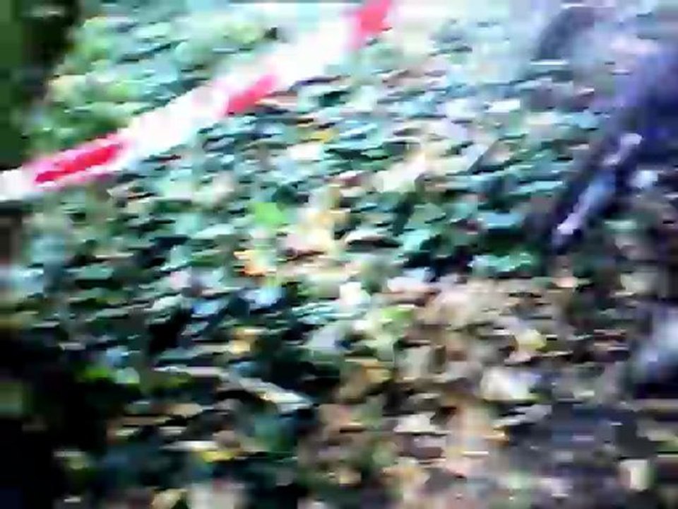 bantouzelle 2012