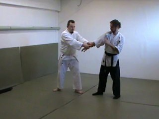 Gyaku hanmi morote dori to hiza geri