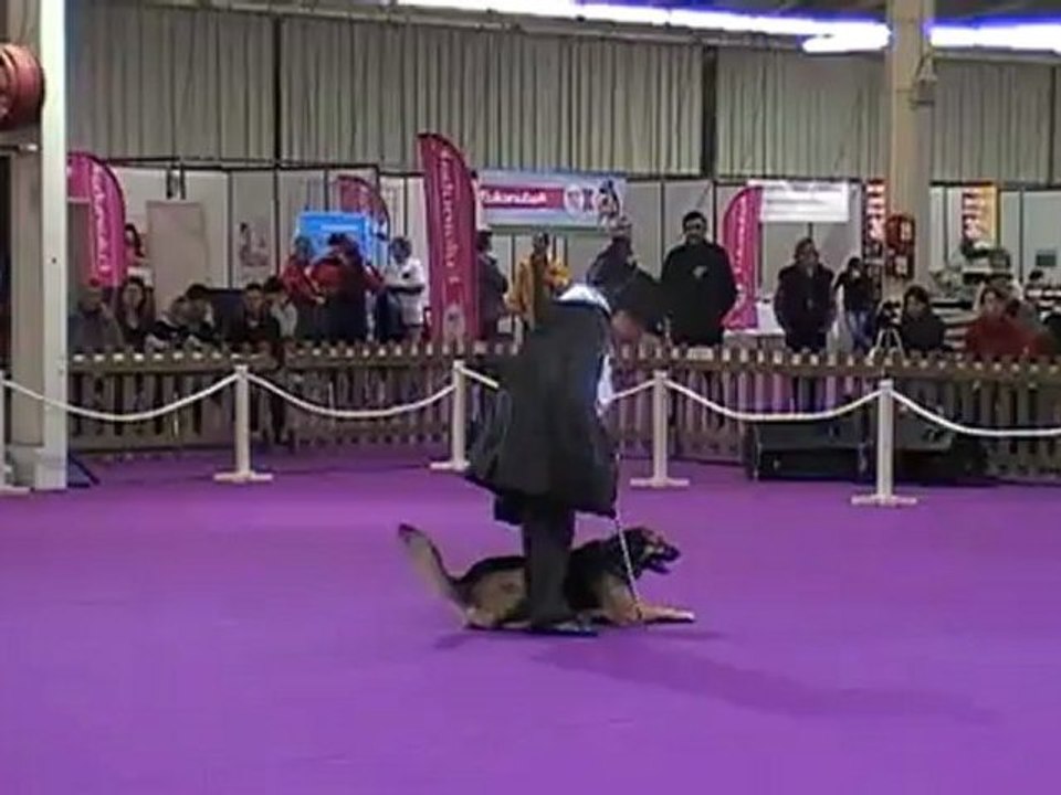 cheyenne GPF 2012 obérythmée