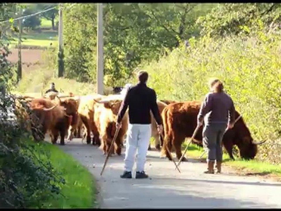 Transhumance 1