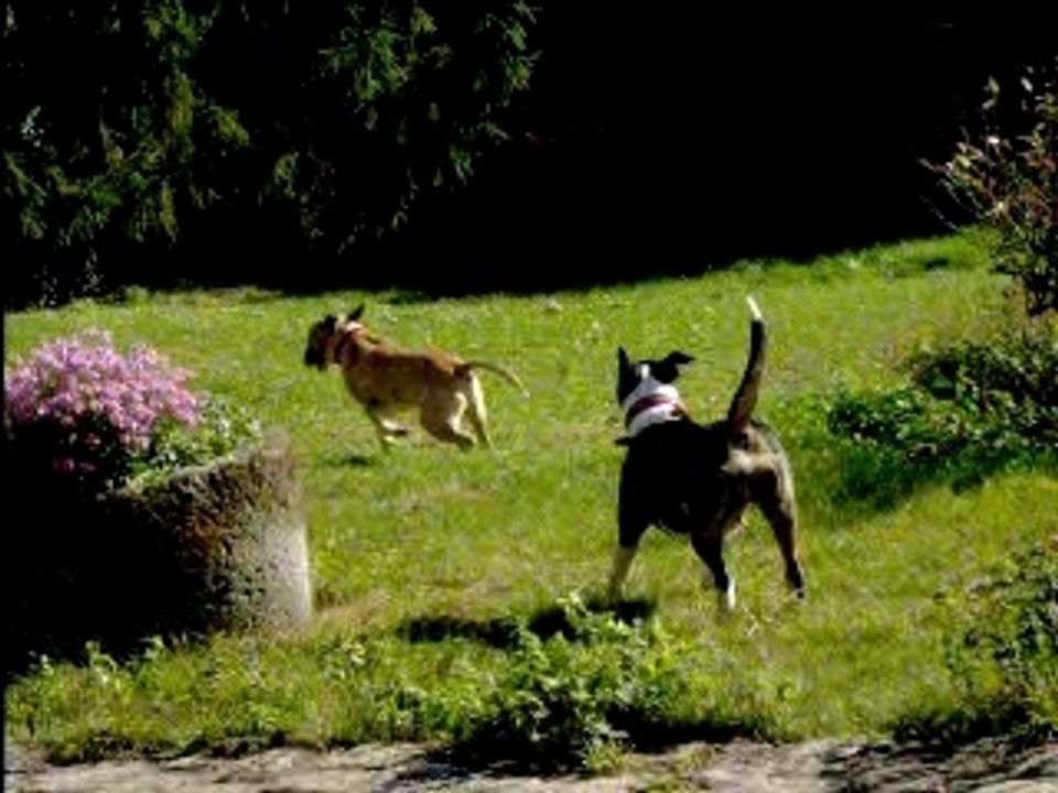 Vega et Naïs2