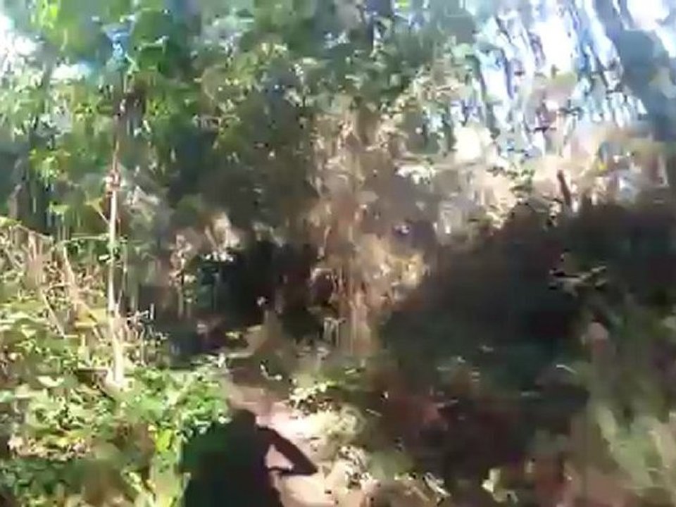 Trilho 2