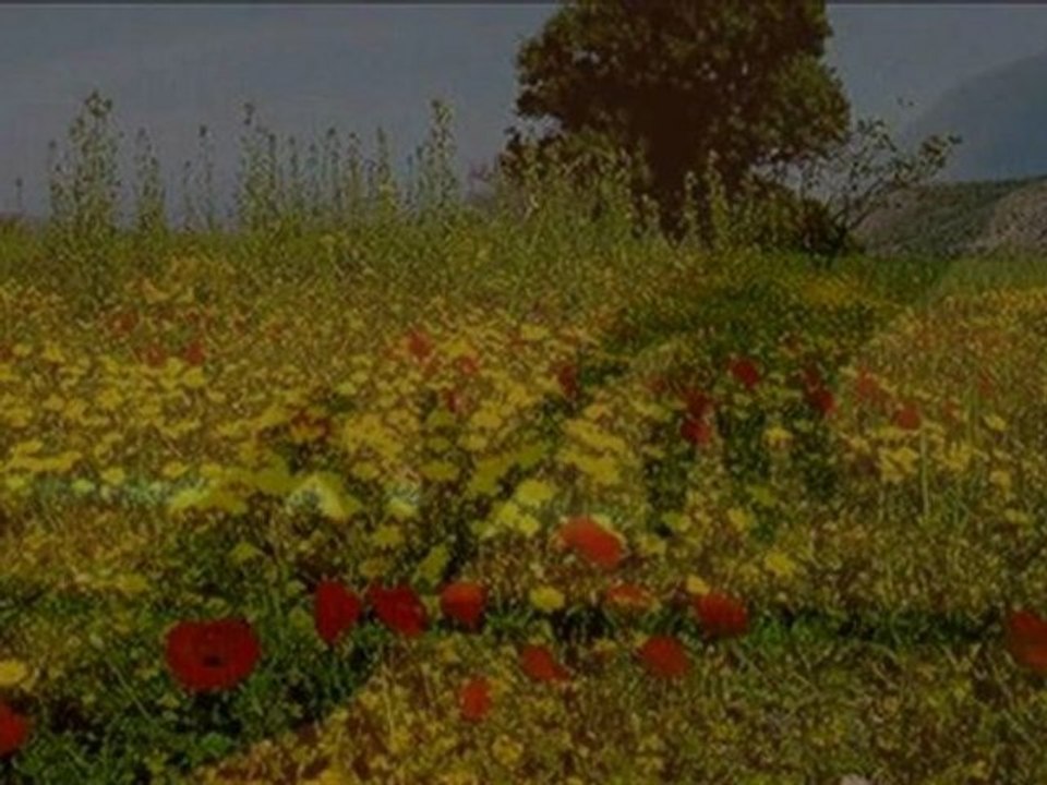 Βασίλης Παπακωνσταντίνου - Αλλά τα βράδια