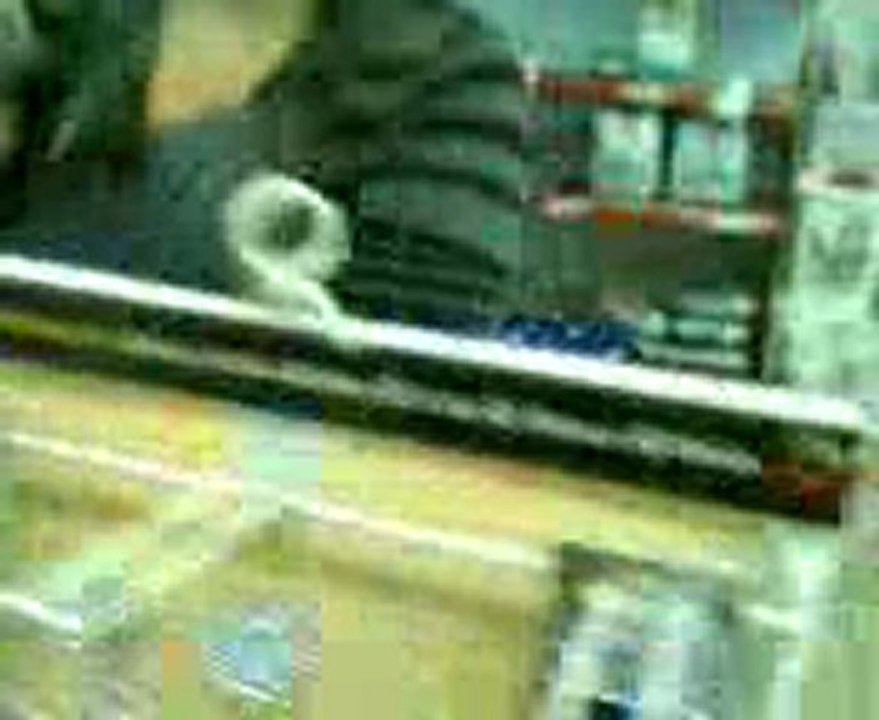 elle a les meme racines que Louna et a 1 an 1/2