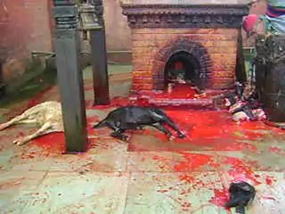 GIVING some respect to god