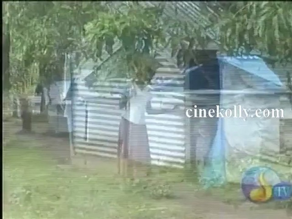 dnews 31102012