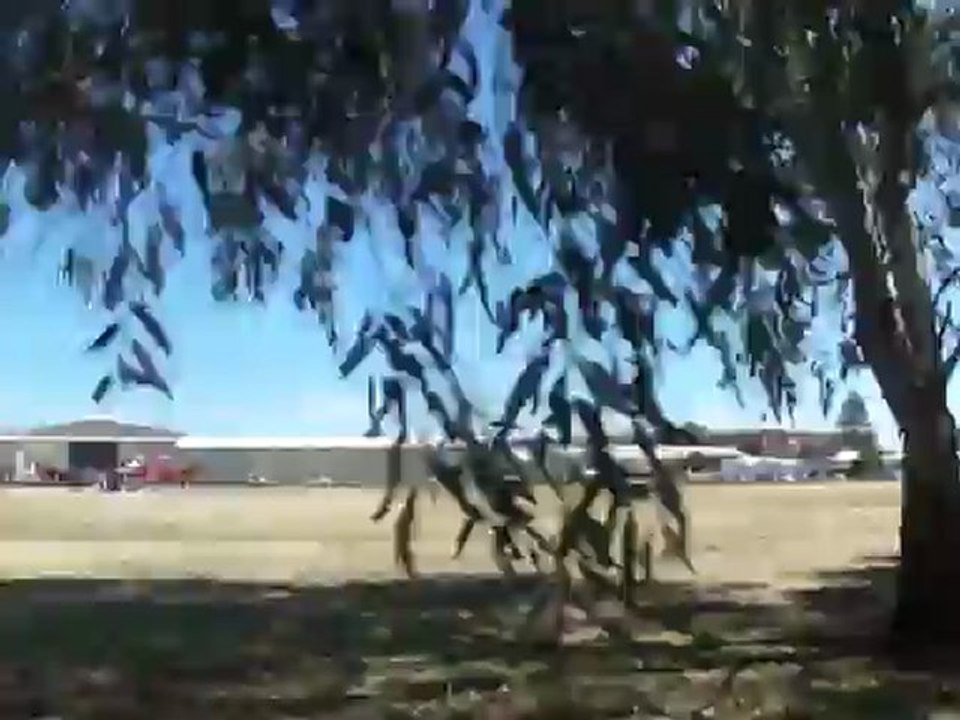 Muscle Trike Ride!