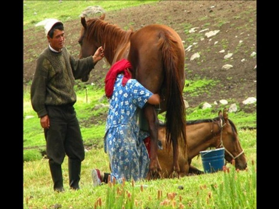 asya hatıra fotoğrafları.