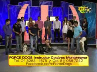 Viva mundo de Mascotas