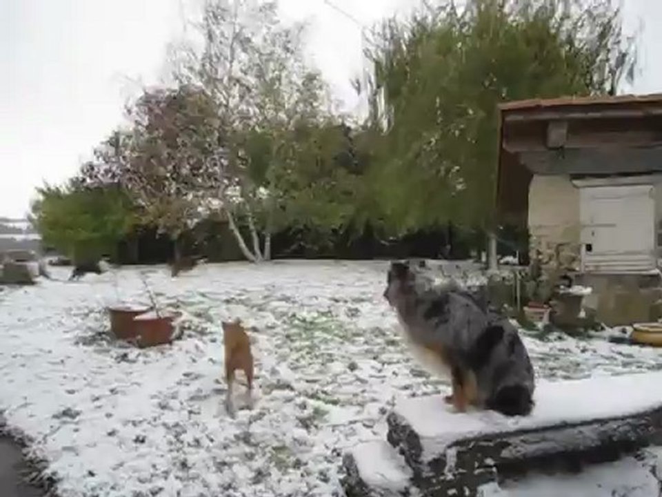 Première neige bis