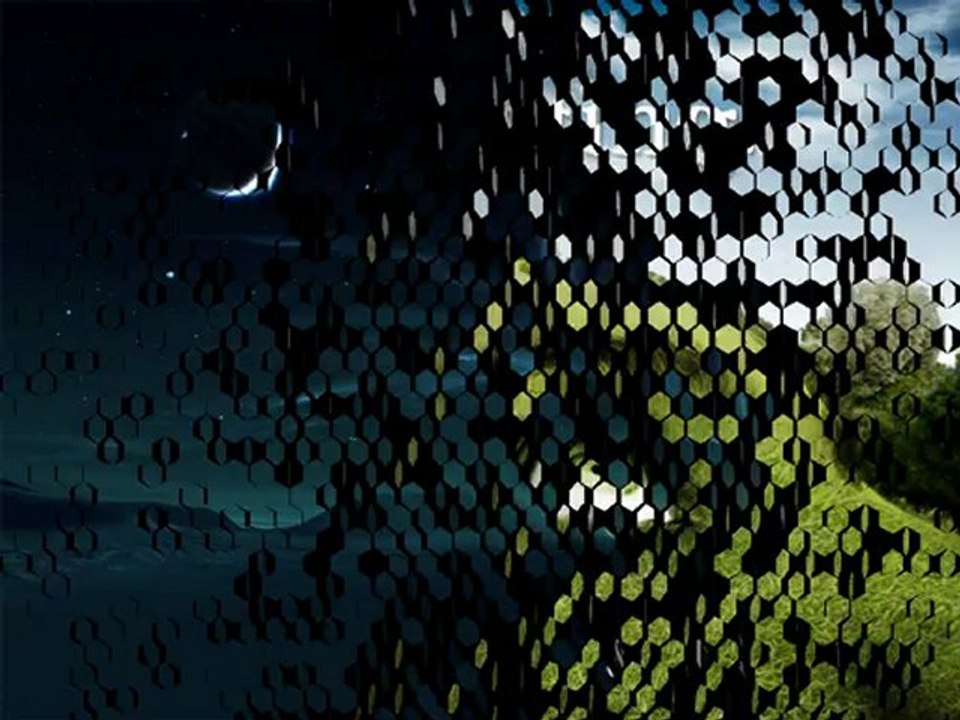 How Tos & What Nots in Presentations