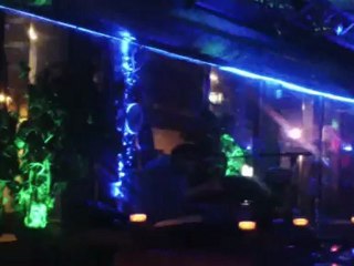 canlimuzik eglencesi mavigul arnhem