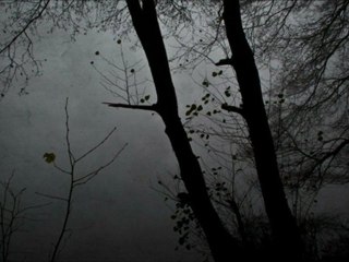 Ümit Han - Der Gesang Der Nachtigall (Original Mix)