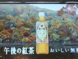 [CM] 20121029 KIRIN 午后红茶京都嵐山冬ver2