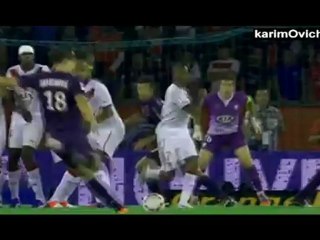 Zlatan Ibrahimovic Psg | 2012 - 2013 !