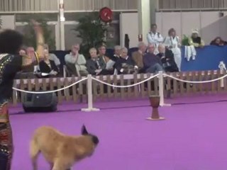 GPF 2012