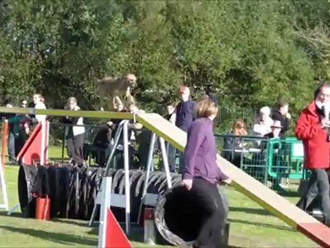 Fonzy Concours de Basse Goulaine 2012-10-28