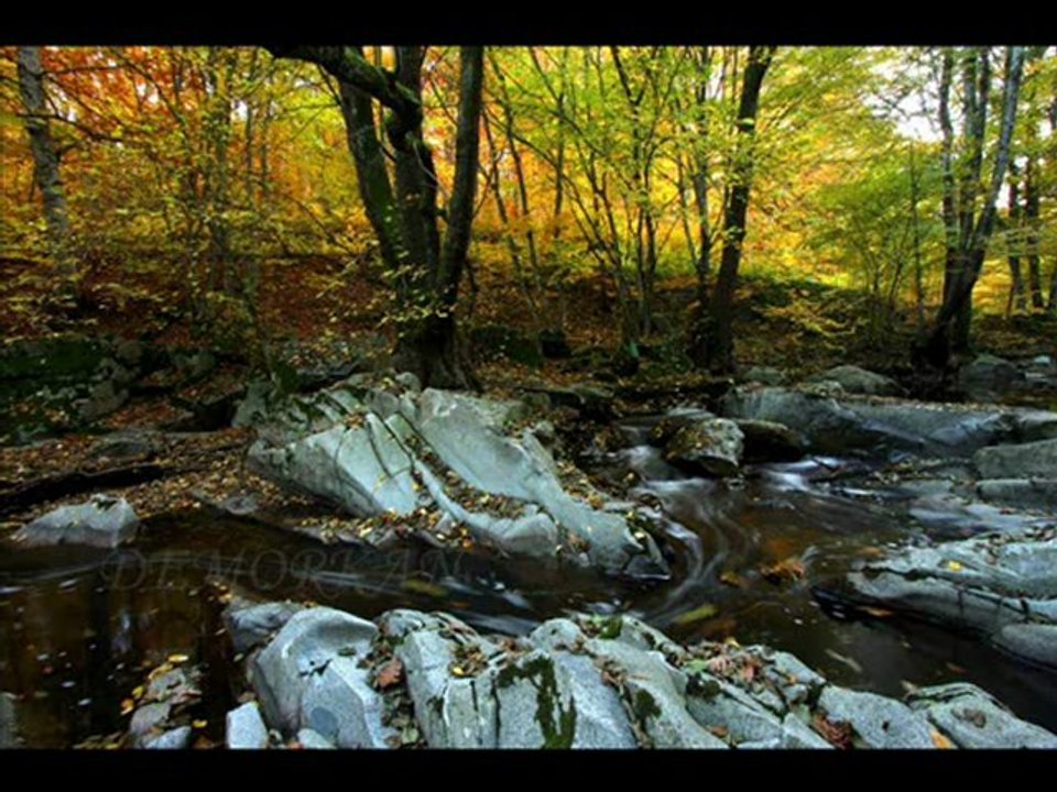 özlemimsin demirköy(mesut şenay)