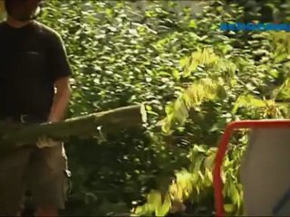 Broyeur Schliesing 235 MX