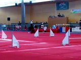 Taiga, emma, agility, ch. jeunes conducteurs 2012, jumping
