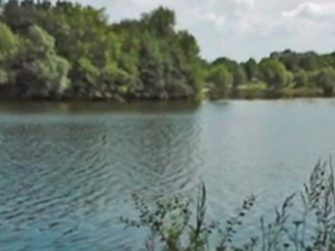 Czesław Niemen Włóczęga