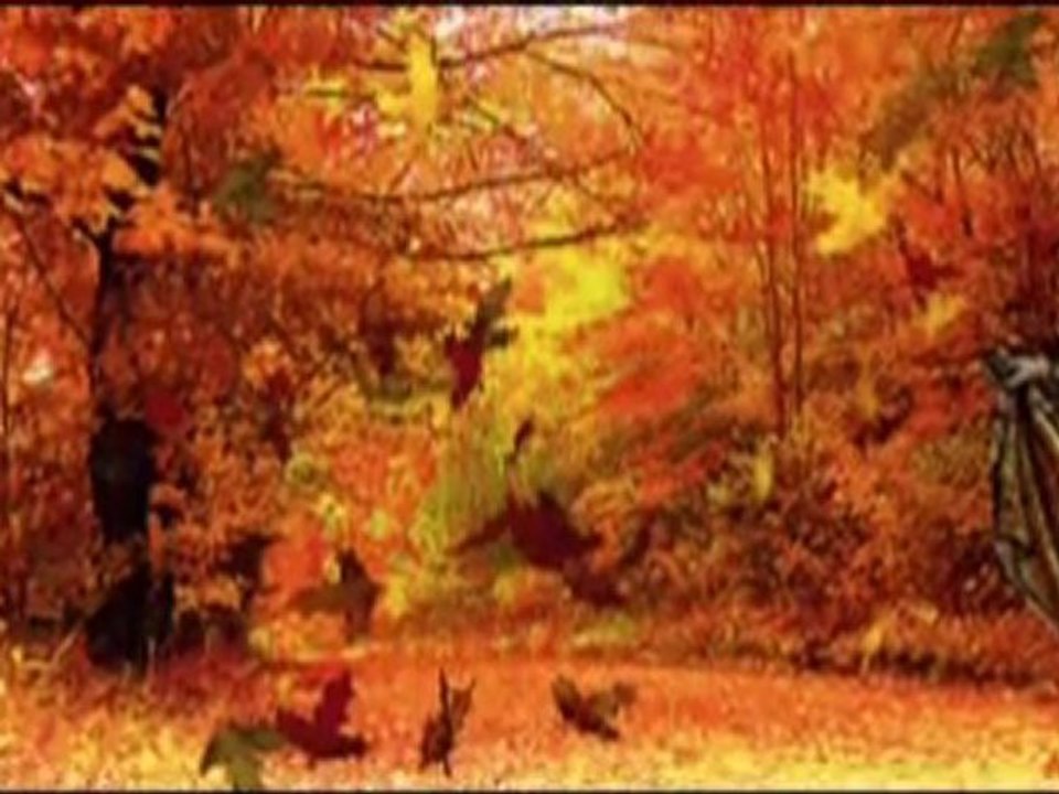 Jak przeżyc wszystko jeszcze raz  ♥  Krzysztof Krawczyk