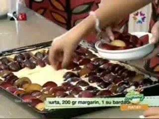 SFRMZ 29 EK WWWNEBUAMKNET