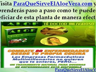 Shampoo de Aloe Vera