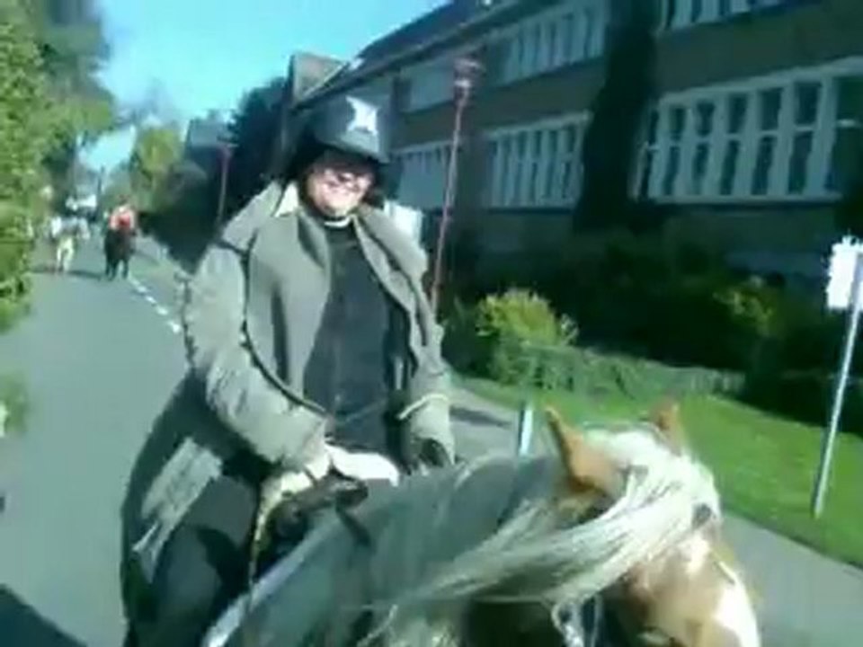 Saint Hubert de Namur 2012