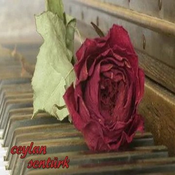 YÜREĞİMDEN SENİ SİLİP ATAMAM