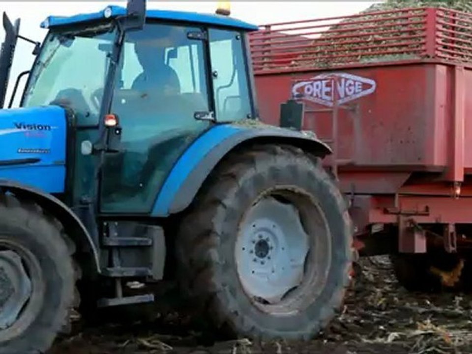 ensilage du maïs