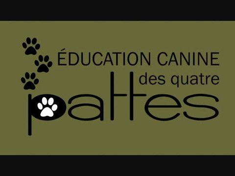 Éducateur canin : Conseils pour que l'Halloween se passe bien avec votre chien