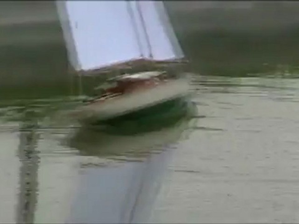 COLLIE-1