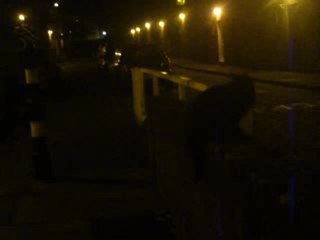 Heading back to home, Jet, Midnight, Snooks