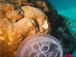 Underwater(Jeux interdits-Giovanni Marradi)